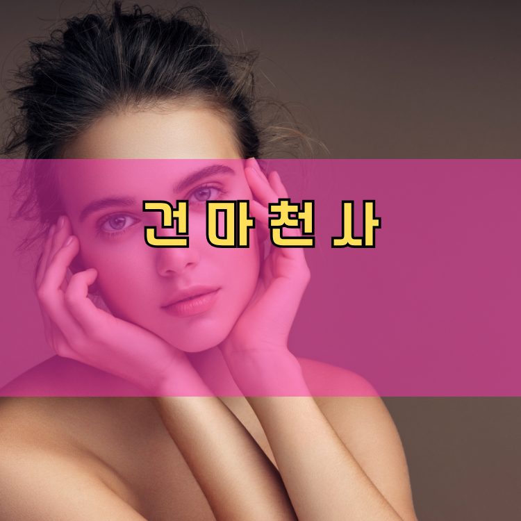 서울 강남구 건마천사 인기업체 안내 이미지