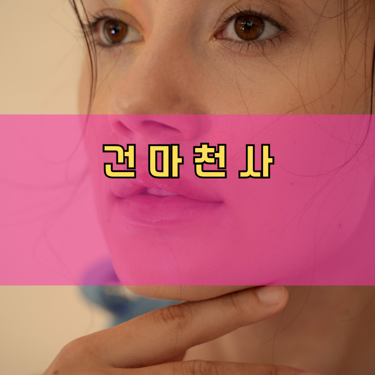 경기도 안산시 단원구 선부3동 건마천사 인기업체 안내 이미지