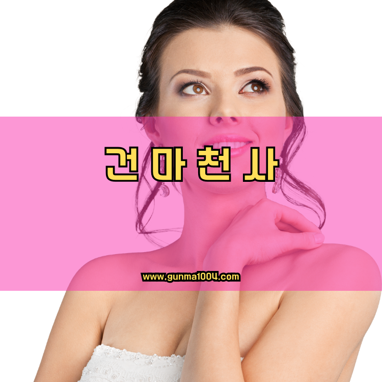 경기도 안양시 동안구 비산2동 건마천사 인기업체 안내 이미지