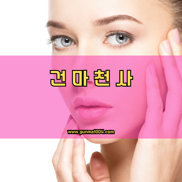 경기도 안양시 동안구 비산3동 건마천사 인기업체 안내 이미지